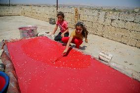 Homemade Tomato Paste - Idlib