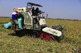 Agriculture In Indonesia East Java