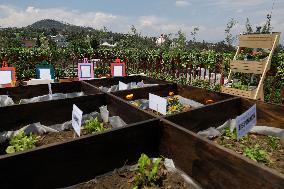 Clara Brugada, Virtual Candidate-elect For Mexico City Mayor, Inaugurates Utopia Ixtapalcalli In Iztapalapa, Mexico.