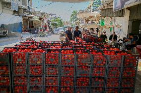 Homemade Tomato Paste - Idlib