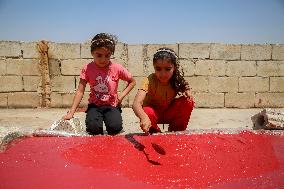 Homemade Tomato Paste - Idlib