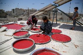 Homemade Tomato Paste - Idlib