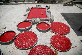 Homemade Tomato Paste - Idlib