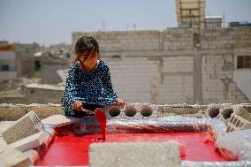 Homemade Tomato Paste - Idlib