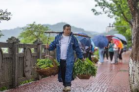 ChineseToday | Captain and his ferry of hopes in SW China