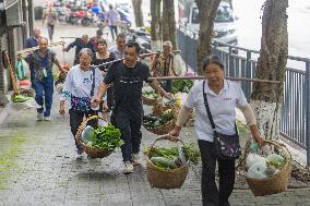 ChineseToday | Captain and his ferry of hopes in SW China