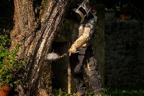 Asian Hornet Nest Destruction - France