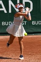 International Tennis match - WTA Hungarian Grand Prix - Round of 16 and Quarter finals