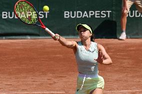 International Tennis match - WTA Hungarian Grand Prix - Round of 16 and Quarter finals