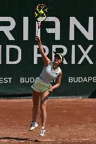 International Tennis match - WTA Hungarian Grand Prix - Round of 16 and Quarter finals