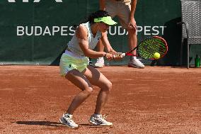 International Tennis match - WTA Hungarian Grand Prix - Round of 16 and Quarter finals