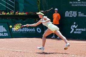 International Tennis match - WTA Hungarian Grand Prix - Round of 16 and Quarter finals