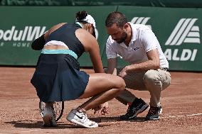 International Tennis match - WTA Hungarian Grand Prix - Round of 16 and Quarter finals