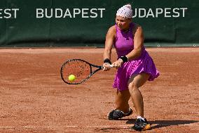 International Tennis match - WTA Hungarian Grand Prix - Round of 16 and Quarter finals