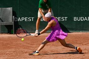 International Tennis match - WTA Hungarian Grand Prix - Round of 16 and Quarter finals