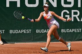 International Tennis match - WTA Hungarian Grand Prix - Round of 16 and Quarter finals