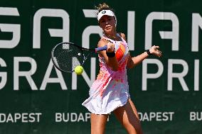 International Tennis match - WTA Hungarian Grand Prix - Round of 16 and Quarter finals