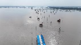 Rainstorm Hit Huai'an