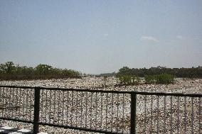 River That Has Completely Dried Up In Dehradun