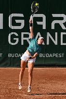 International Tennis match - WTA Hungarian Grand Prix - Round of 16 and Quarter finals