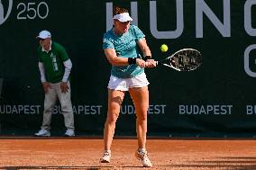 International Tennis match - WTA Hungarian Grand Prix - Round of 16 and Quarter finals