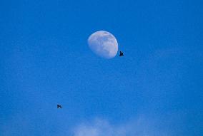 Waxing Gibbous Moon With Cumulus Clouds