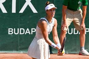 WTA250 Hungarian Tennis - Budapest