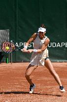 WTA250 Hungarian Tennis - Budapest