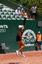 WTA250 Hungarian Tennis - Budapest