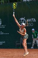 WTA250 Hungarian Tennis - Budapest