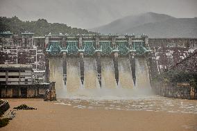 South Korea Heavy Rain