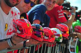 F1 Grand Prix of Hungary - Previews