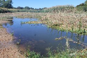 BOTSWANA-FRANCISTOWN-TATI RIVER-REHABILITATION