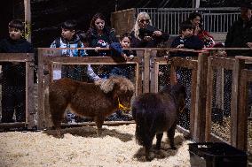 ARGENTINA-BUENOS AIRES-EXHIBITION