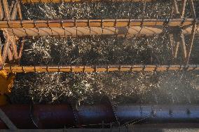 Grain Harvest In Lowicz