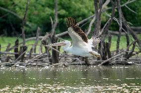 Wildlife At The Oxbow Nature Conservancy