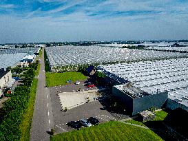 Greenhouses In The Westland - Netherlands