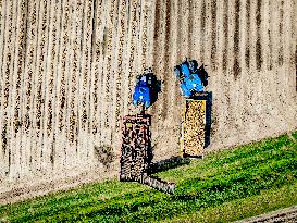 Harvest - Netherlands