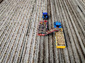 Harvest - Netherlands