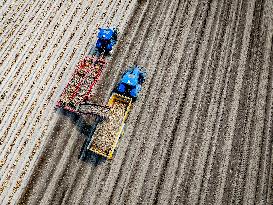 Harvest - Netherlands