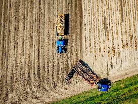 Harvest - Netherlands