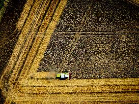 Harvest - Netherlands