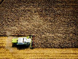 Harvest - Netherlands