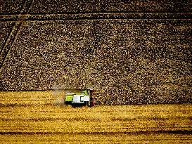 Harvest - Netherlands