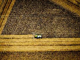 Harvest - Netherlands