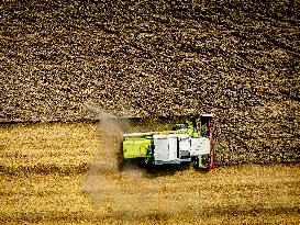 Harvest - Netherlands