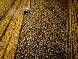 Harvest - Netherlands