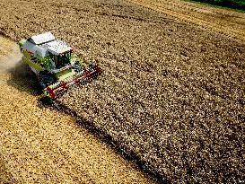 Harvest - Netherlands