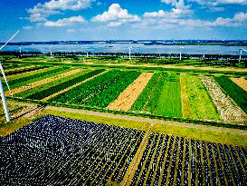 Haringvliet Energy Park - Netherlands