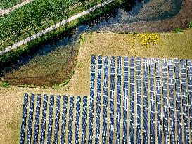 Haringvliet Energy Park - Netherlands